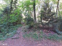 WWW Wanderung Calw-4